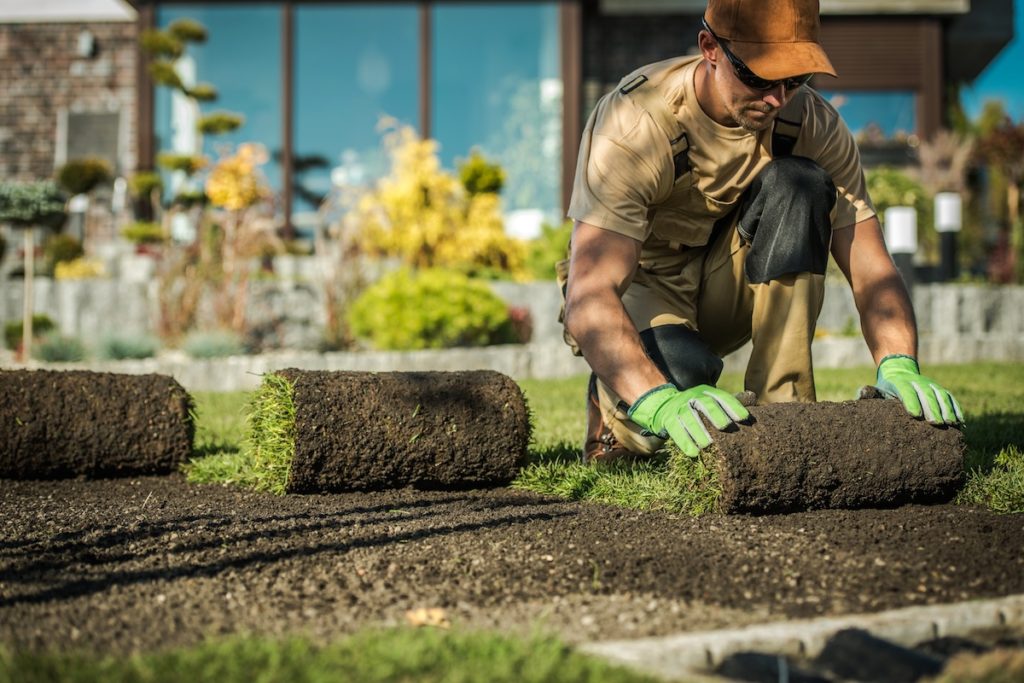 Laying sod