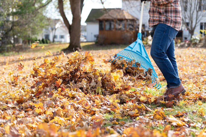 Person doing yardwork raking leaves.