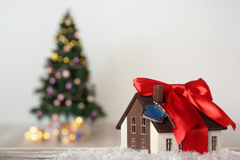 Home with a bow in front of a holiday tree.