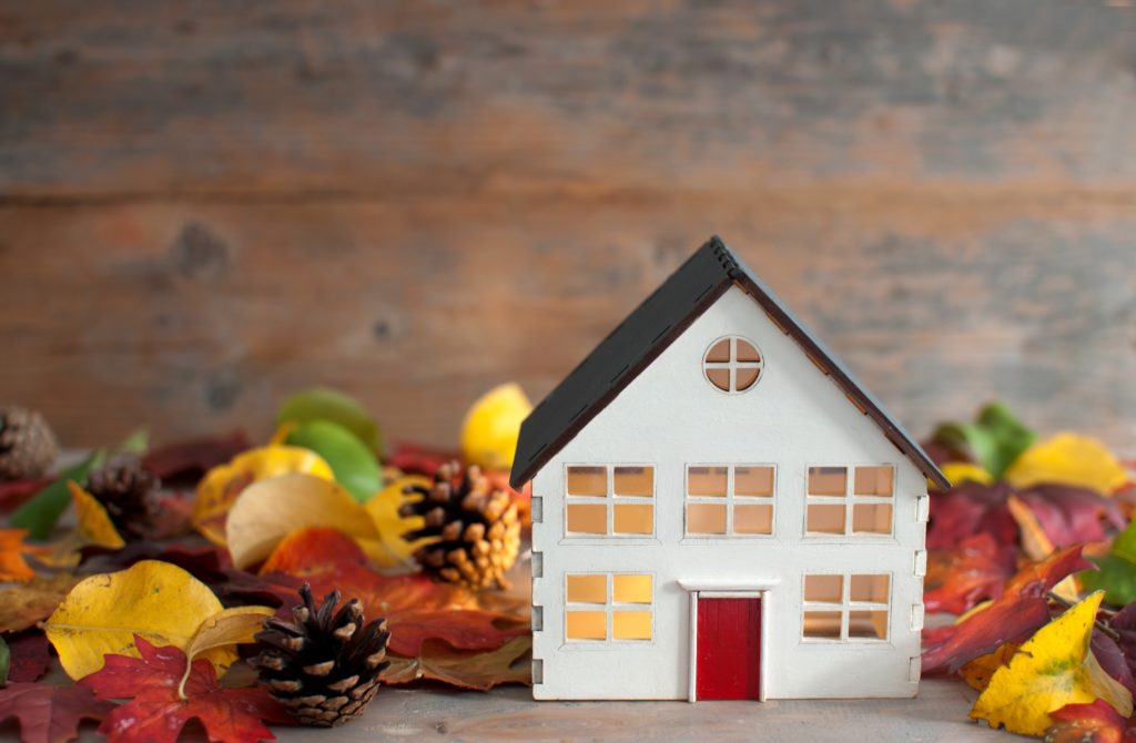 mini house with autumn leaves
